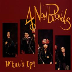 4 Non Blondes — What's Up? (Edit)