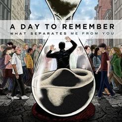 A Day To Remember — You Be Tails, I'll Be Sonic