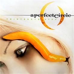 A Perfect Circle — Vanishing