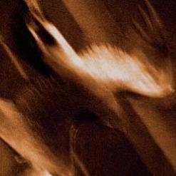 Agalloch — Falling Snow