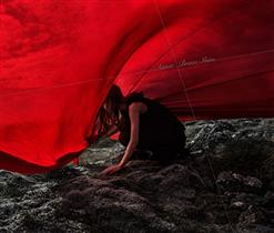 Aimer — Brave Shine