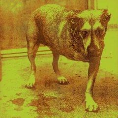 Alice In Chains — God Am