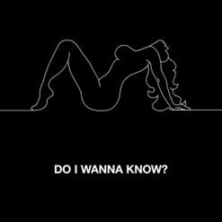 Arctic Monkeys — 2013