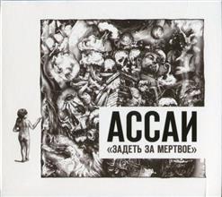 Ассаи — Спутник