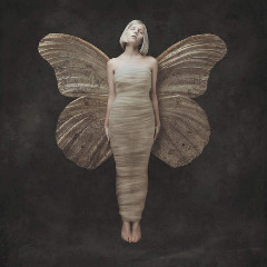 AURORA — Winter Bird