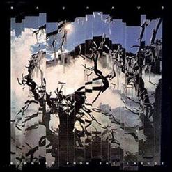 Bauhaus — She's in Parties