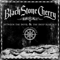 Black Stone Cherry — Blame It On The Boom Boom