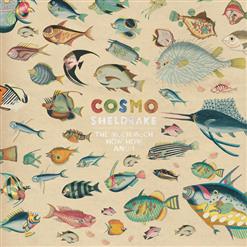 Cosmo Sheldrake — Come Along