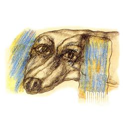 Dolphin — MDMA