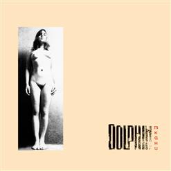 Dolphin — Пляж
