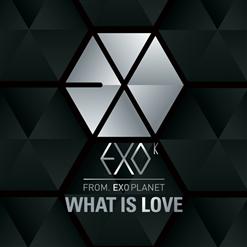 EXO-K — WHAT IS LOVE
