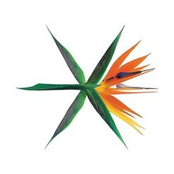 EXO (엑소) — 기억을 걷는 밤 (Walk On Memories)