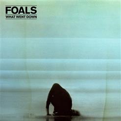 Foals — Albatross