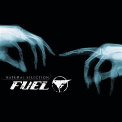 Fuel — Quarter