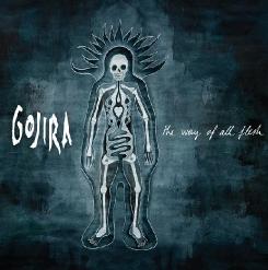 Gojira — Vacuity