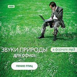 Id — Перепел