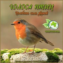 Id — Соловей Обыкновенный 1 (Luscinia Luscinia)