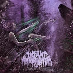 Infant Annihilator — Soil The Stillborn