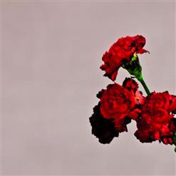 John Legend — Save The Night