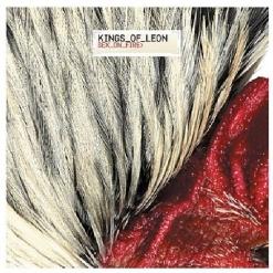 Kings Of Leon — Sex on Fire [Single]