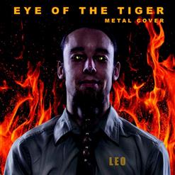 Leo Moracchioli — Eye Of The Tiger (Survivor Cover)
