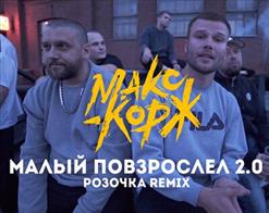 Макс Корж — Малый повзрослел 2.0 (Розочка remix)