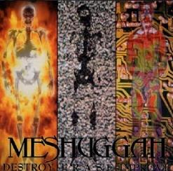 Meshuggah — Future Breed Machine