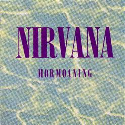 Nirvana — D-7