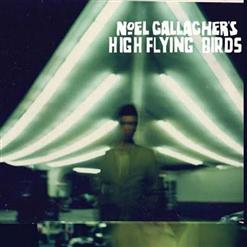 Noel Gallagher's High Flying Birds — If I Had A Gun...