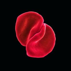 Peter Gabriel — Heroes