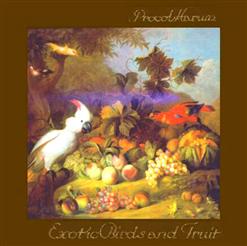 Procol Harum — Beyond The Pale