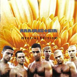 Rammstein — Feuerräder