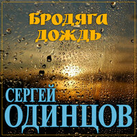 Сергей Одинцов — Бродяга Дождь