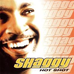 Shaggy — It Wasn't Me