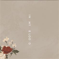 Shawn Mendes — In My Blood