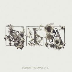 Sia — Moon