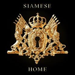 Siamese — Numb
