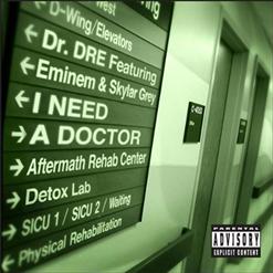 Skylar Grey — I Need A Doctor