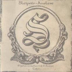 Sleipnir — 02. Unbekannter Soldat
