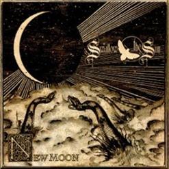 Swallow The Sun — Falling World
