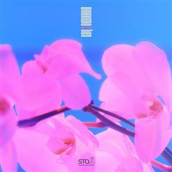 TEN (NCT) — 夢中夢 (몽중몽; Dream In A Dream)