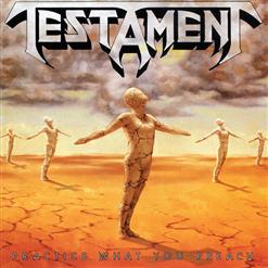Testament — Greenhouse Effect