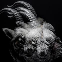 the GazettE — TO DAZZLING DARKNESS