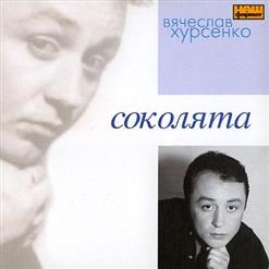 Вячеслав Хурсенко — Соколята