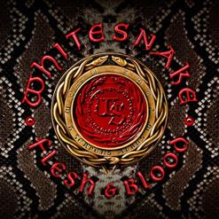 Whitesnake — Gonna Be Alright (X-Tendo Mix - Bonus Track)